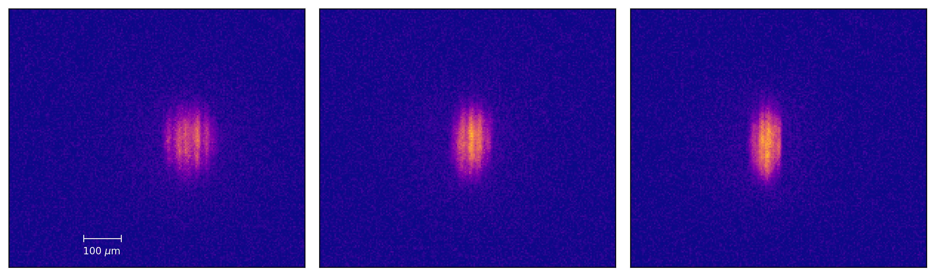 Examples of density modulations after ballistic expansion of 24 ms for 3 different trap geometries.